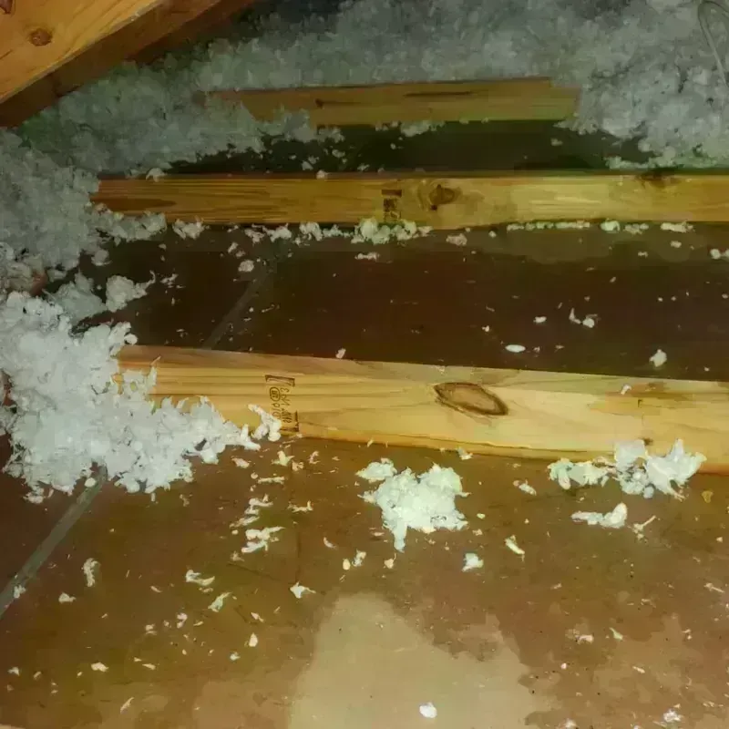 Attic Water Damage in Clay County, MN